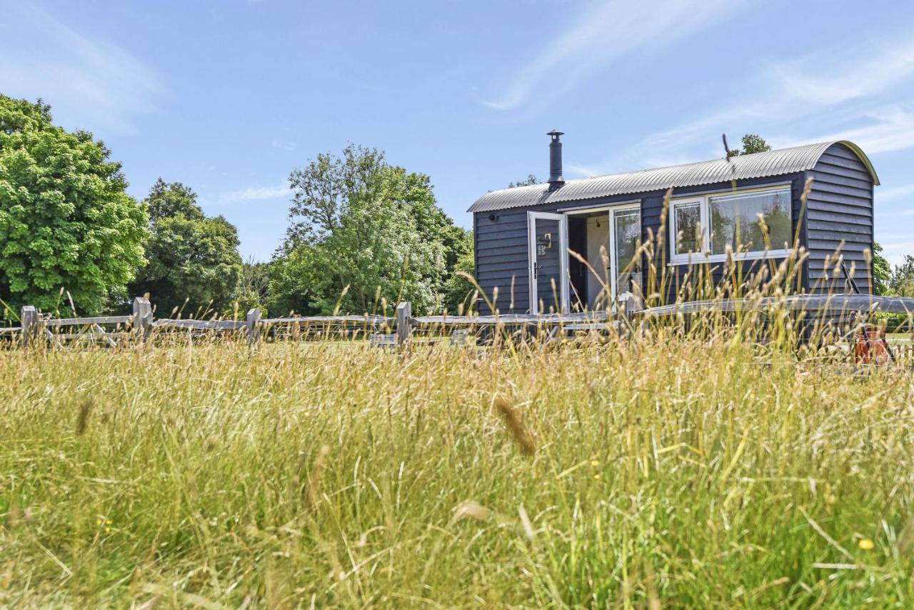 Crabden Shepherd Hut - Blendworth Villa Waterlooville Buitenkant foto